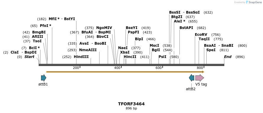 286935_map