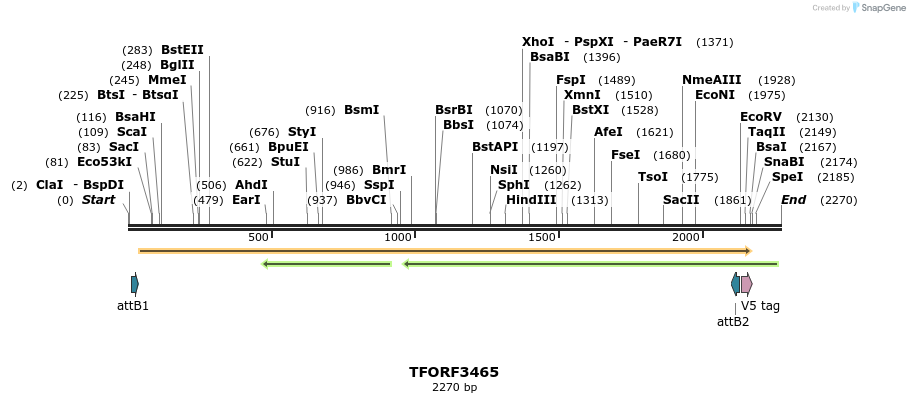 286938_map