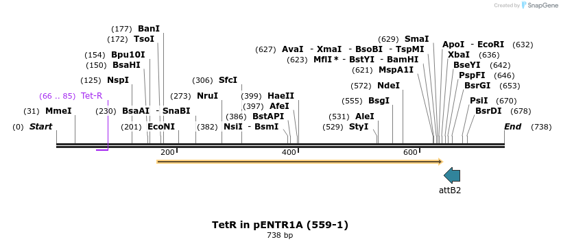 28694_map