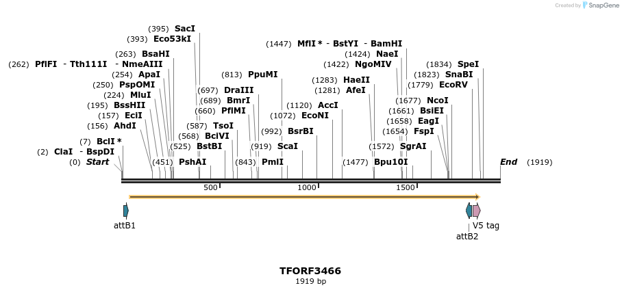 286941_map