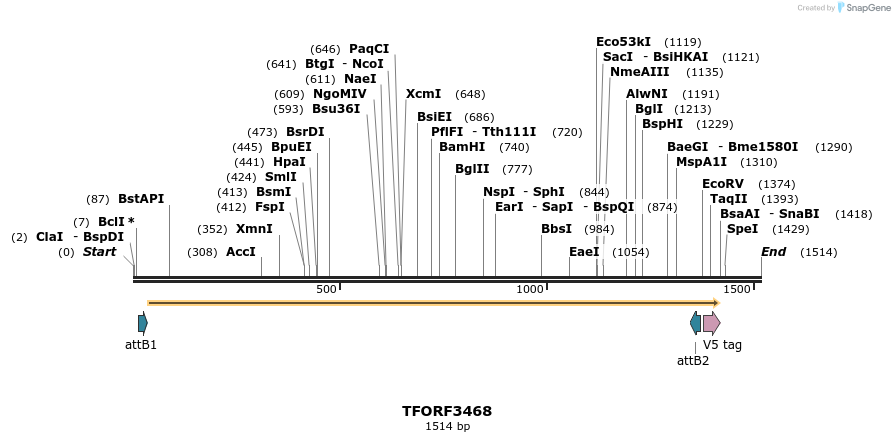 286947_map
