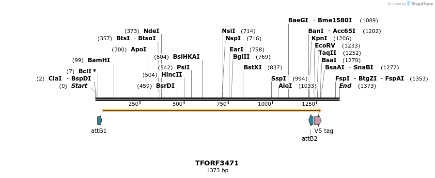 286956_map