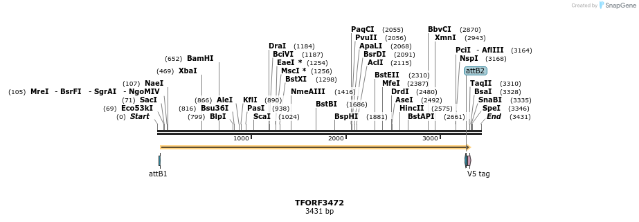 286959_map