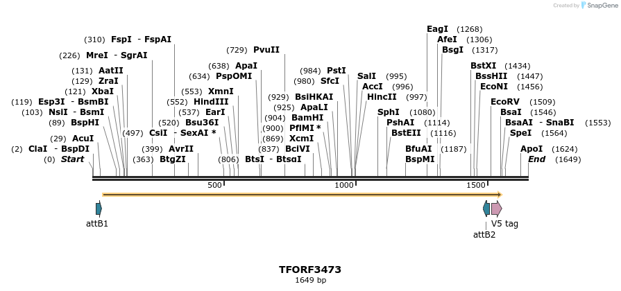 286962_map