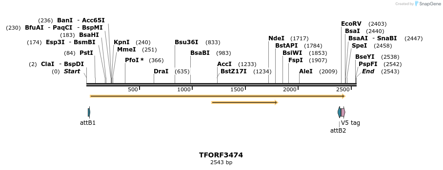 286965_map
