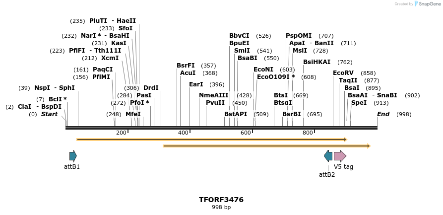 286971_map