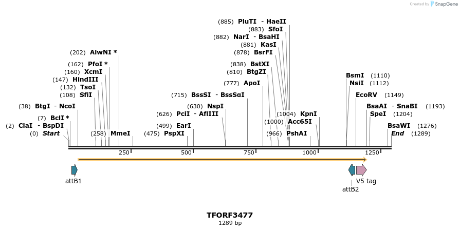 286974_map