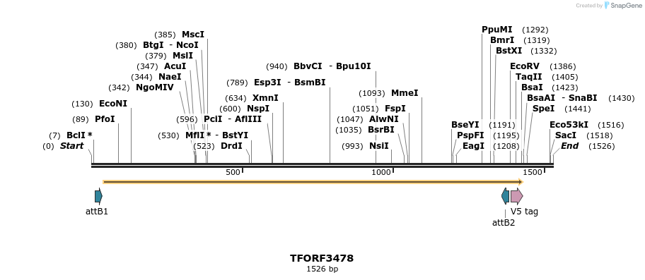 286977_map