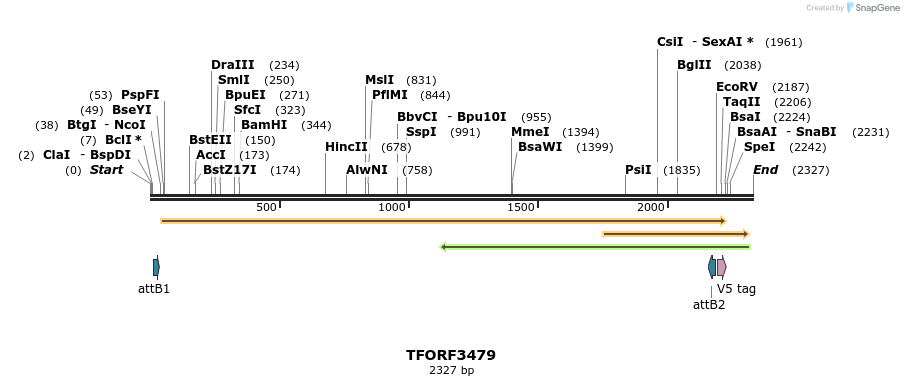 286980_map