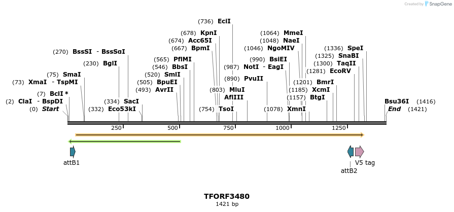 286983_map
