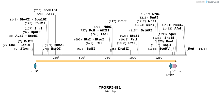 286986_map