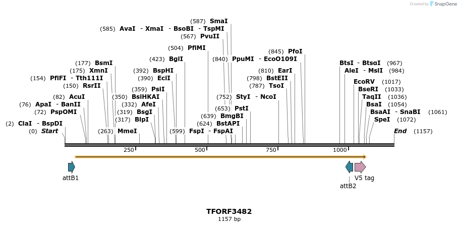286989_map