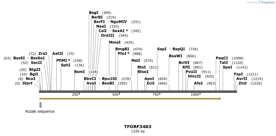 286992_map