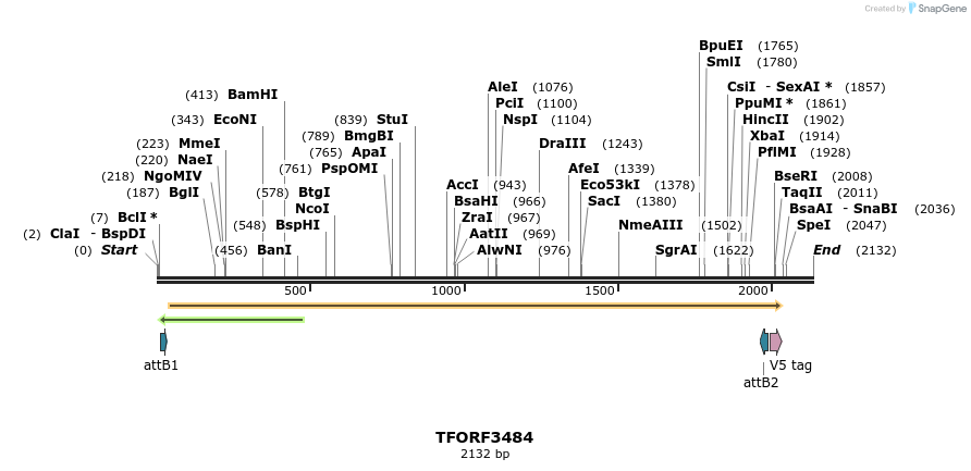 286995_map