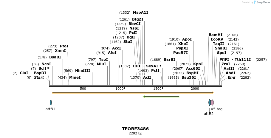 287001_map