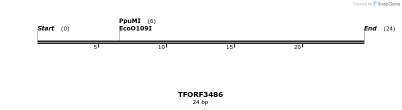 287002_map