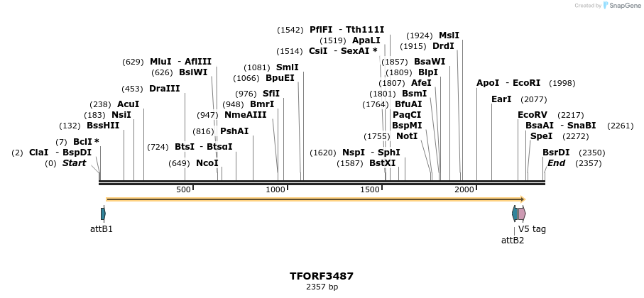287004_map