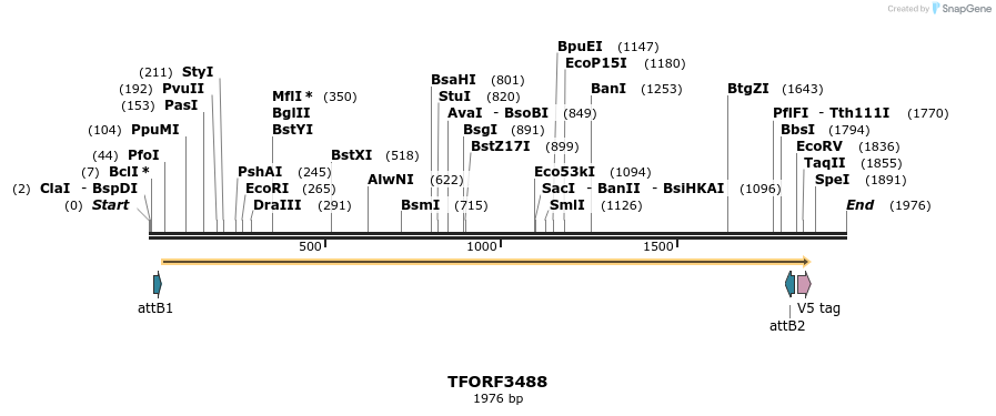 287007_map