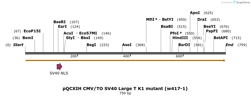 28701_map