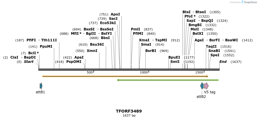287010_map