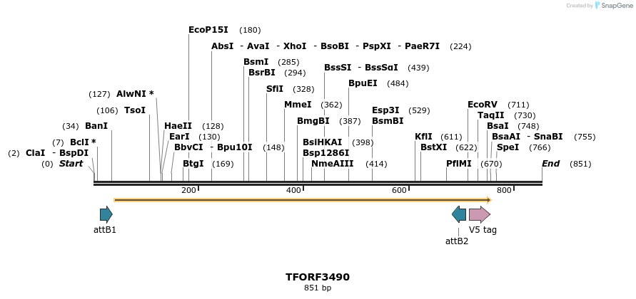 287013_map