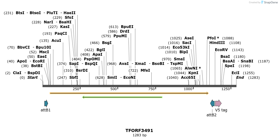 287016_map