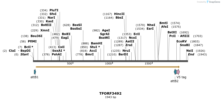 287019_map