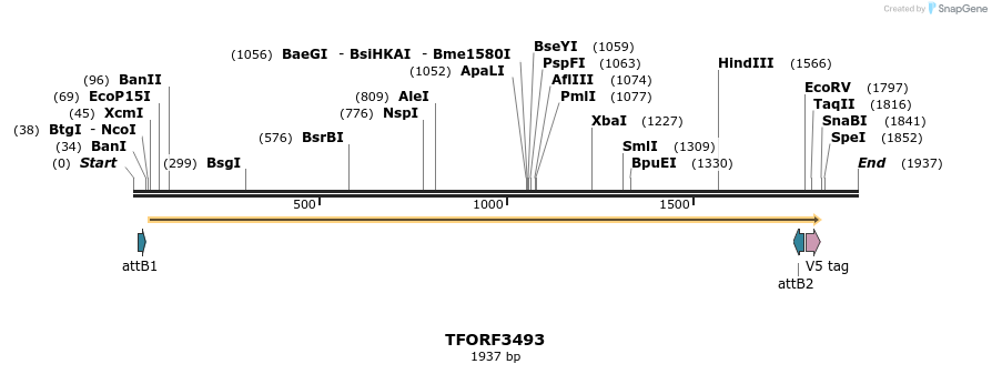 287022_map