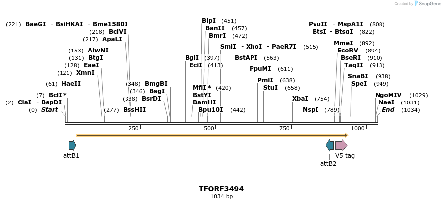 287025_map