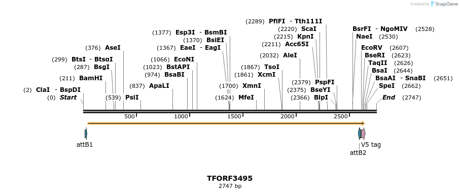 287028_map