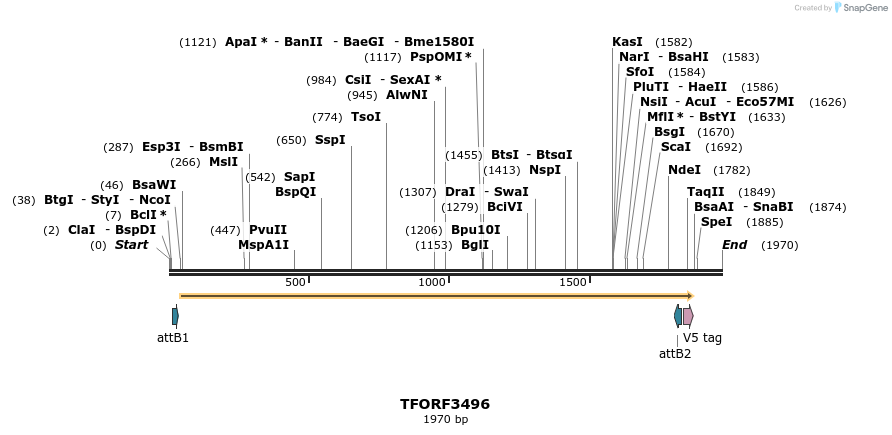 287031_map