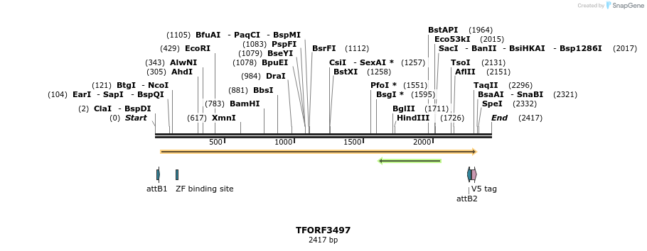 287034_map