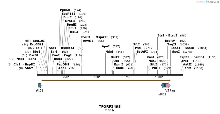 287037_map