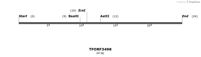 287038_map