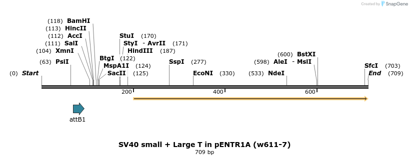 28704_map