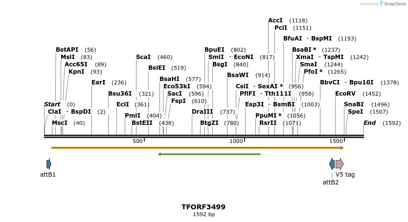 287040_map