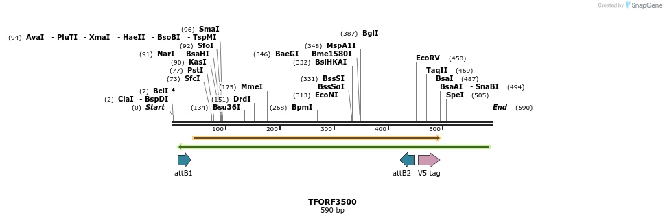 287043_map
