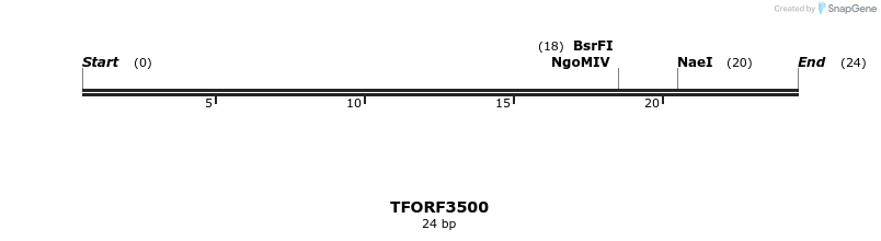 287044_map