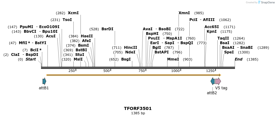 287046_map