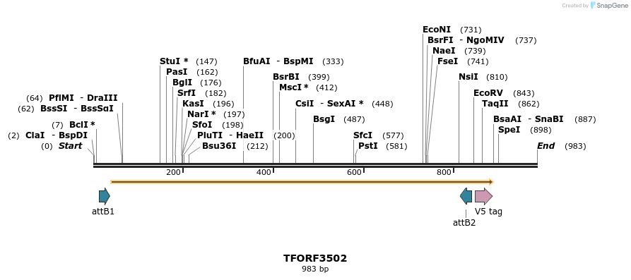 287049_map