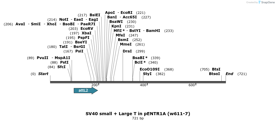 28705_map