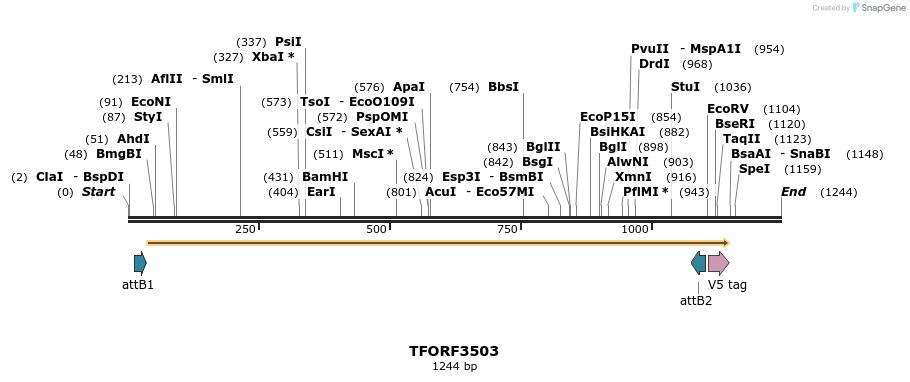 287052_map