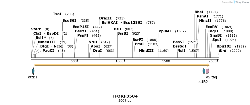 287055_map