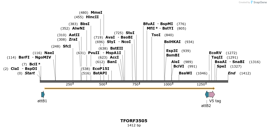 287058_map