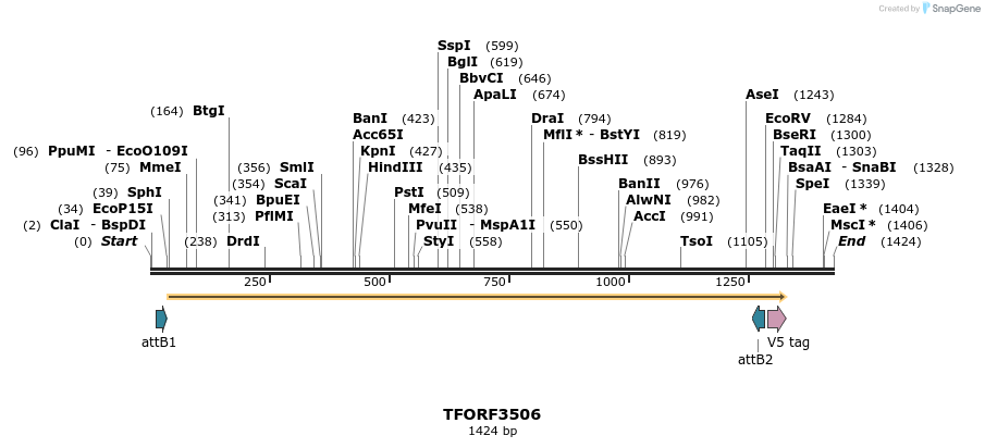 287061_map