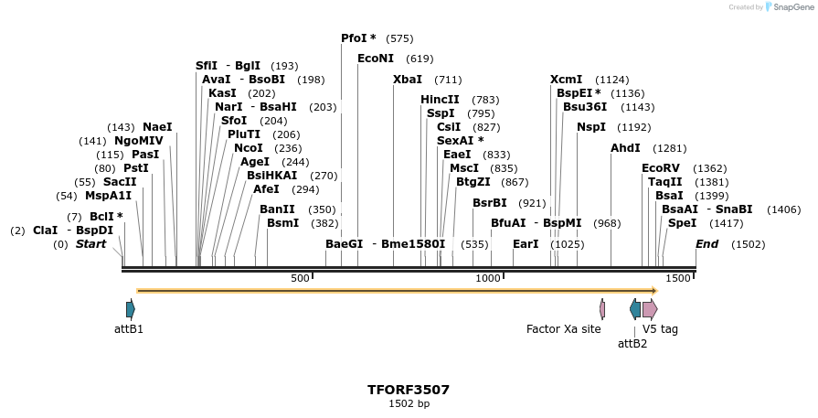 287064_map