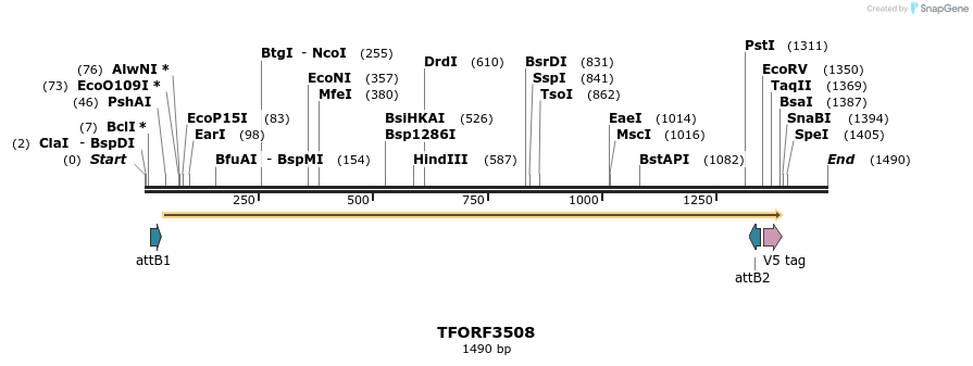 287067_map