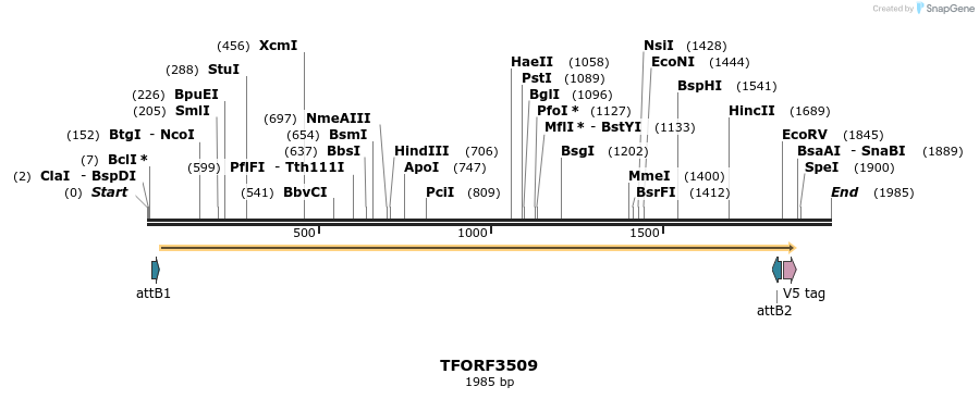 287070_map