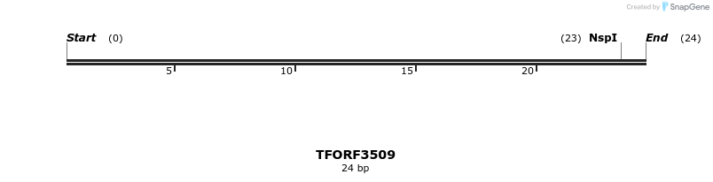 287071_map