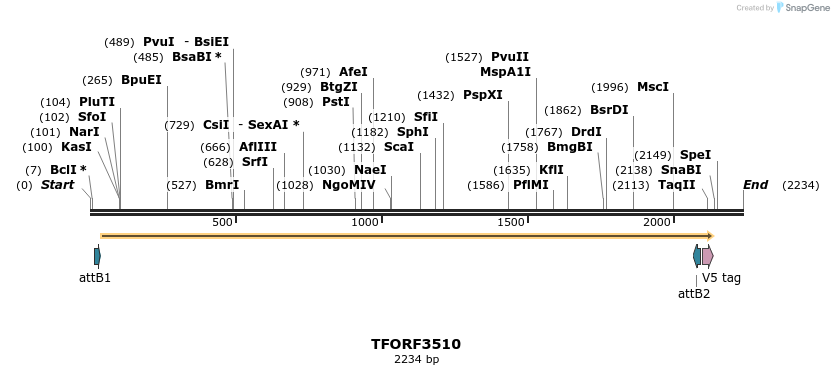 287073_map